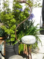 DSCN0582.webp