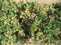 CIMG5475.webp