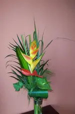Floraqueen-Blumen.webp