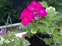 150820111044.webp