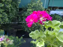 150820111043.webp