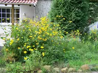 100_5241.webp