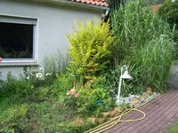 100_5243.webp