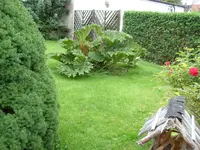SL270705.webp
