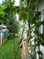 SL270702.webp