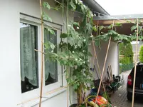 SL270698.webp