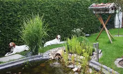 im Schatten8_kleiner.webp