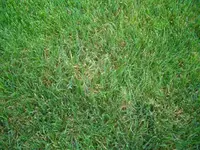 CIMG2625.webp