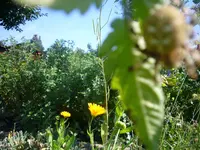 P1120050.webp