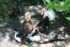 IMG_3034 - Kopie.webp