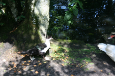 IMG_3040 - Kopie.webp