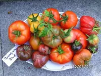 BILD0190.webp