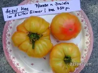 BILD0191.webp