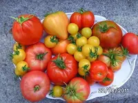 BILD0192.webp