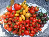 BILD0193.webp