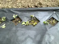 12082011344.webp