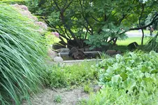 100_0449.webp