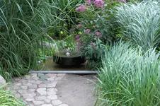 100_0451.webp