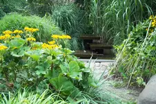 100_0452.webp