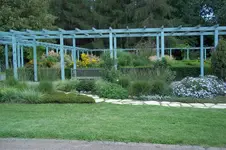 100_0459.webp