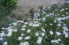 100_0460.webp
