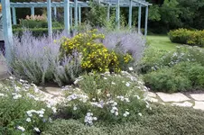 100_0461.webp