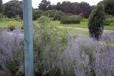 100_0462.webp