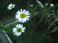 BILD0953.webp