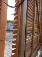 DSCN2920.webp