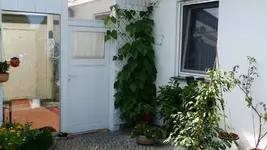 P1010754.webp