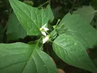 k-DSCF0118.webp