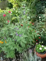 P1040336-1.webp