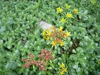 P1040340-1.webp