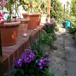 IMG_0040.webp