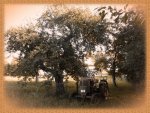 Unterm alten Apfelbaum296-2.jpg