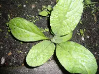 P1020440.webp