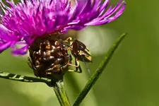 20.8.11 (10 von 64).webp