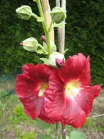 IMG_8456 Meine Stocki.webp