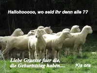 Geburtstagsgruesse v.webp