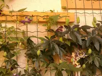 K1024_018.webp