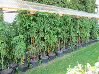 image003.webp