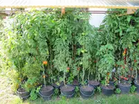 image004.webp