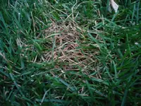 03.webp