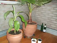 DSCF5933.webp
