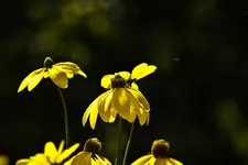 22.8.11 (6 von 28).webp