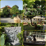 Baumschule.webp