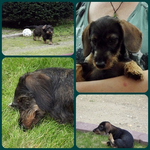 Berta&Freda.webp