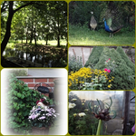 Sonstiges.webp