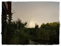 Regenbogen.webp