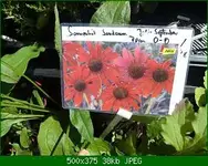 CIMG9859.webp